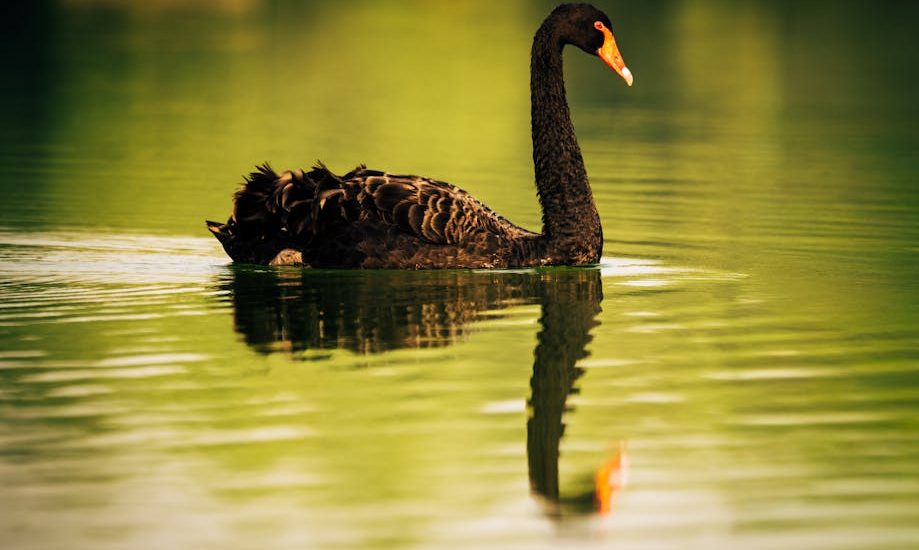 去眼袋：提升自信與青春的關鍵之道