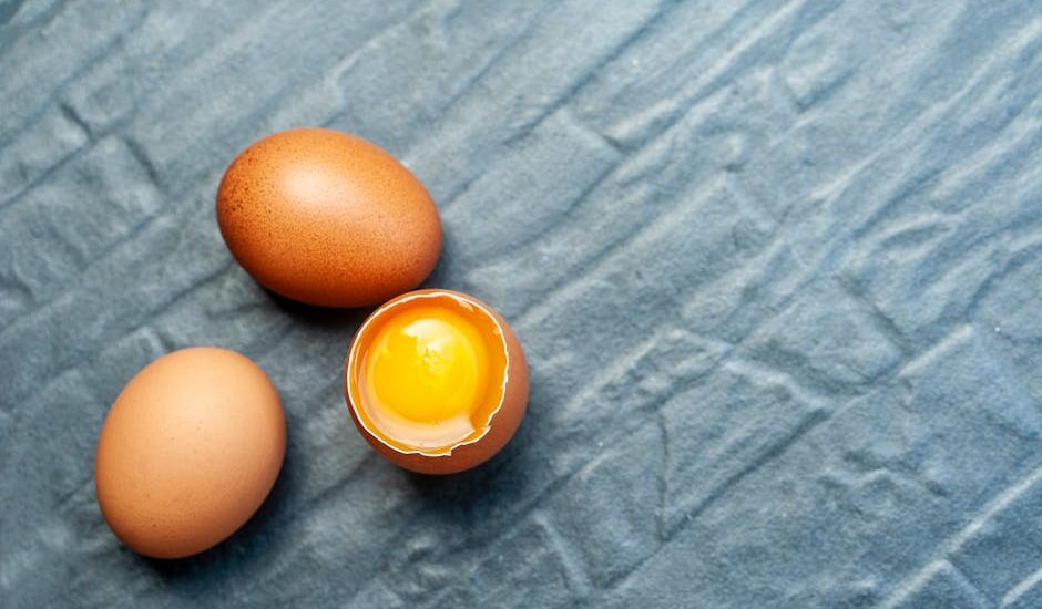 觀塘窗簾舖:專業知識與選購指南