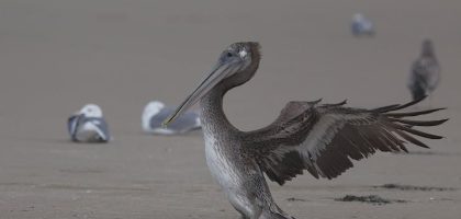 迷你倉的魅力：小空間大智慧