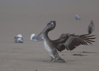 迷你倉的魅力：小空間大智慧
