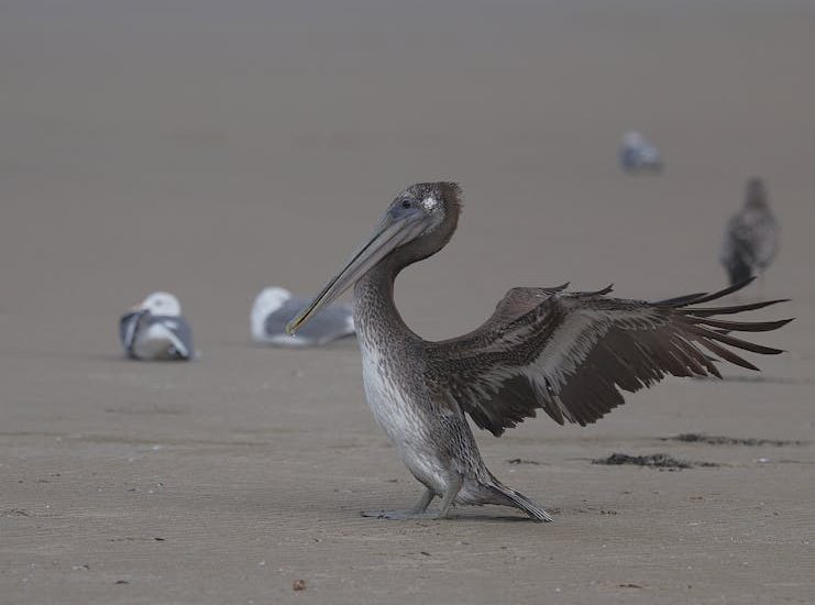 迷你倉的魅力:小空間大智慧