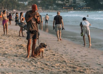 獸醫急症：緊急狀況的即時應對與專業照護