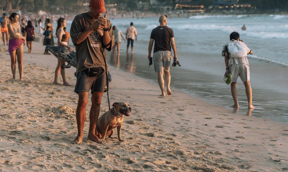 獸醫急症:緊急狀況的即時應對與專業照護