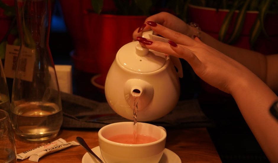 女裝背囊選購指南:專業步驟解析