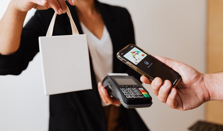 流動支付的發展與應用分析