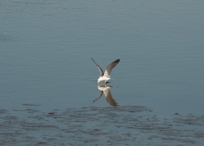 小腿粗怎麼瘦？理性分析與溫和建議