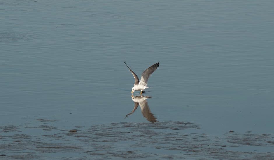 小腿粗怎麼瘦？理性分析與溫和建議